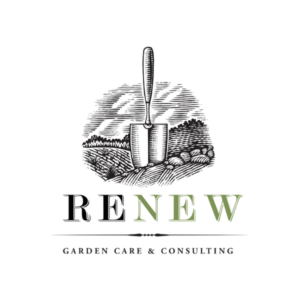 Renew Logo TRANS